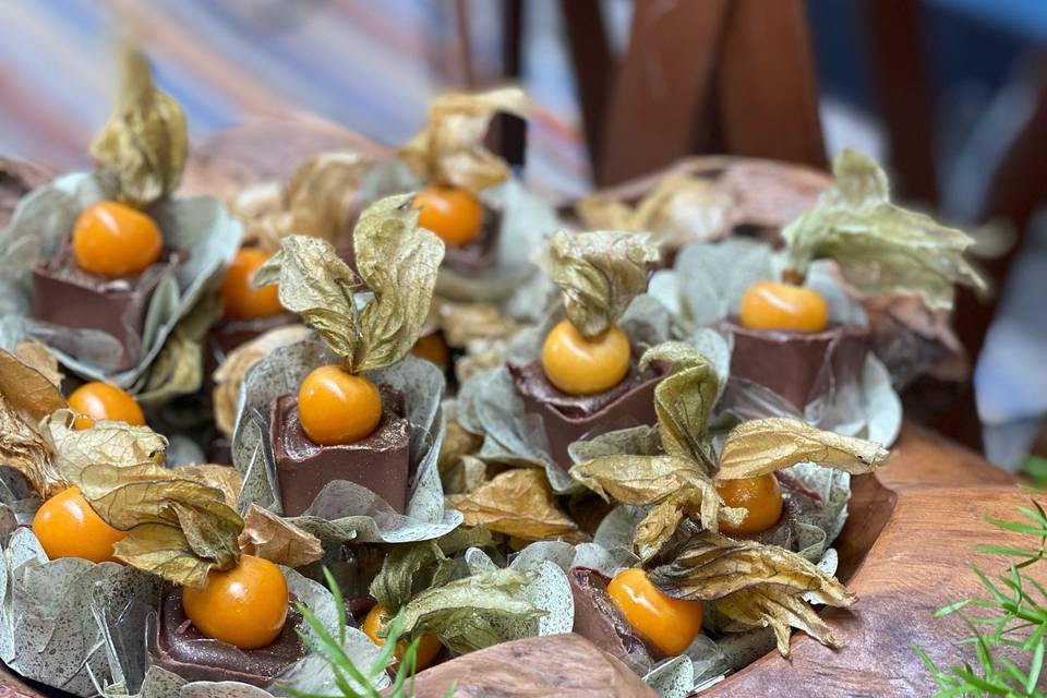 Physalis