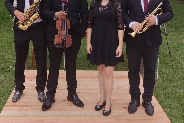 Músicos para casamento