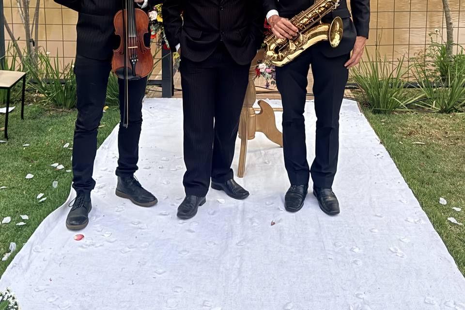 Músicos casamento Valadares