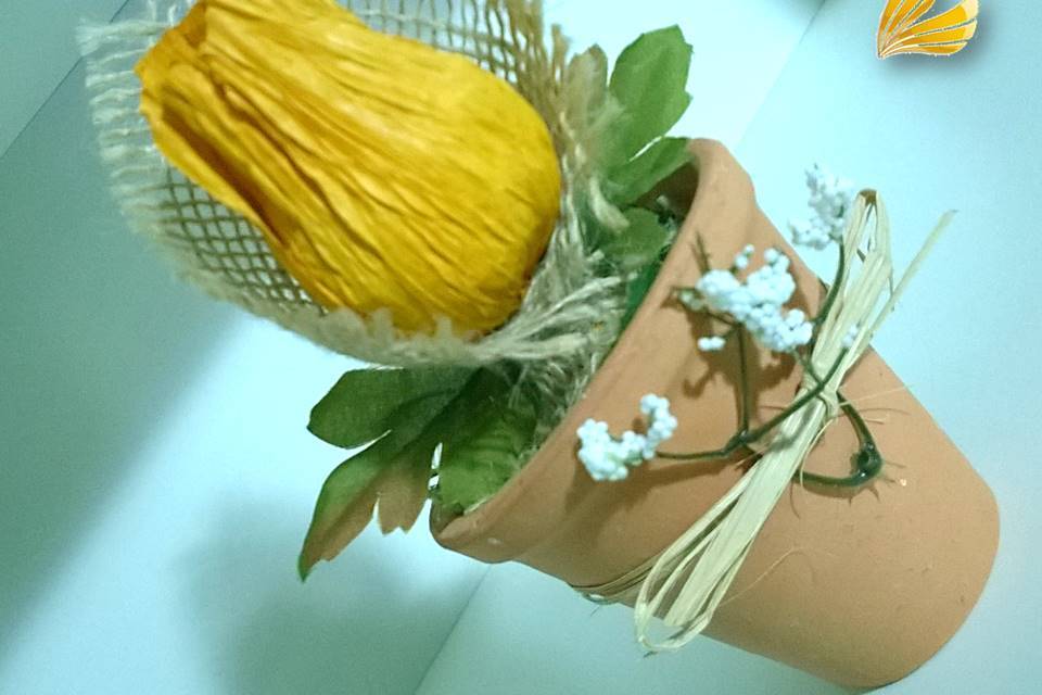 Botão de Rosas Bombom
