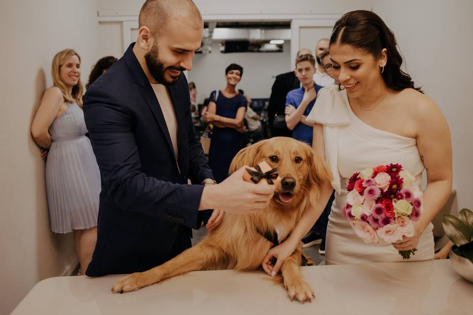 Cachorro no casamento