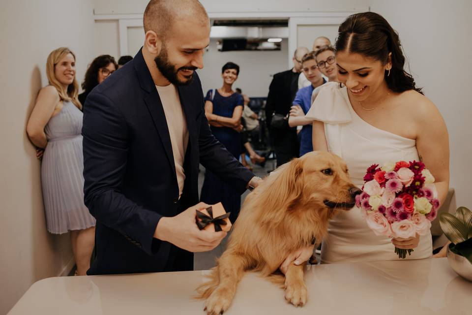 Cachorro no casamento