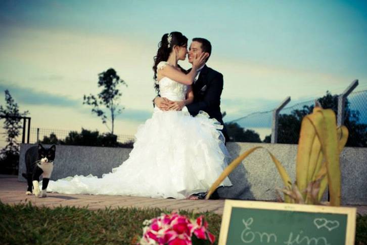 Álbum de casamento