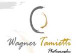 Wagner Tamietti logo