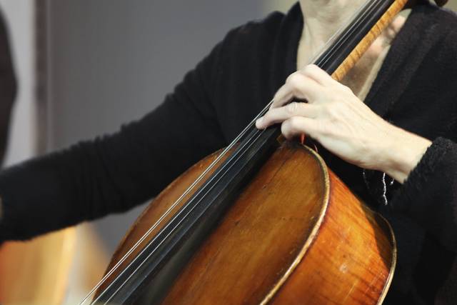 Instrumentos de cordas