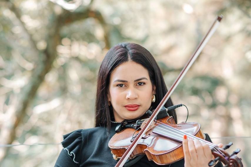 Violino