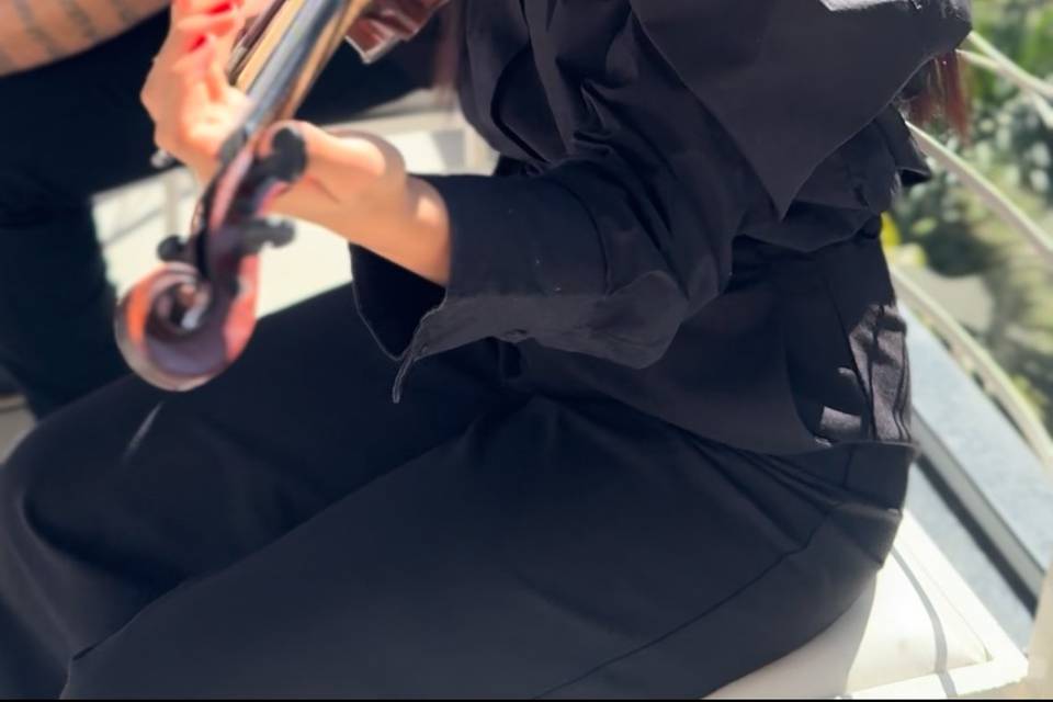 Violino
