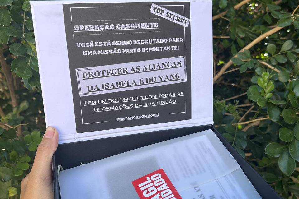 Caixa segurança das alianças