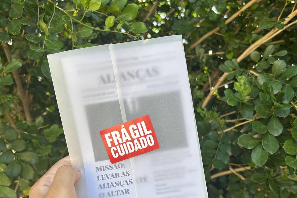 Manual segurança das alianças