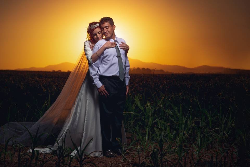 Luz e Sombra Fotografia