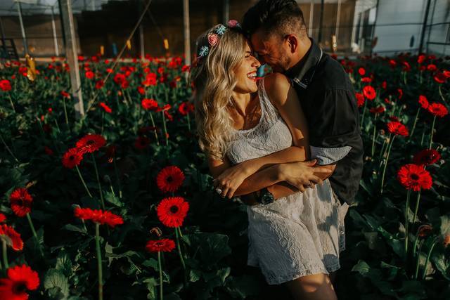 Pré Wedding Holambra