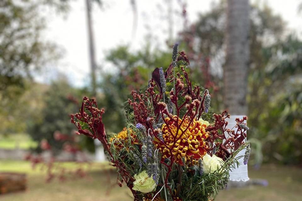 Diversos jardins a escolher