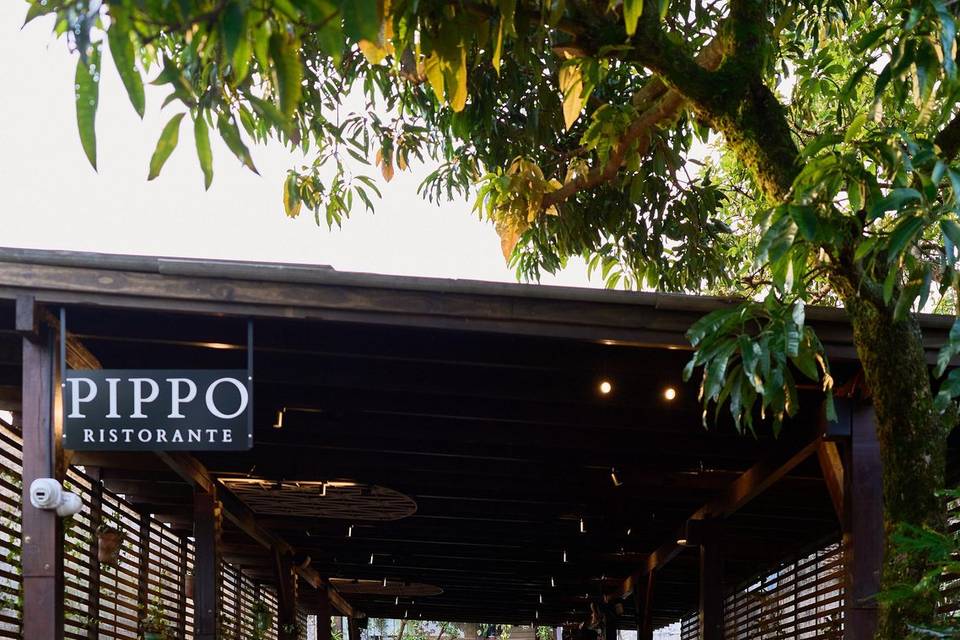 Deck Pippo ao Entardecer