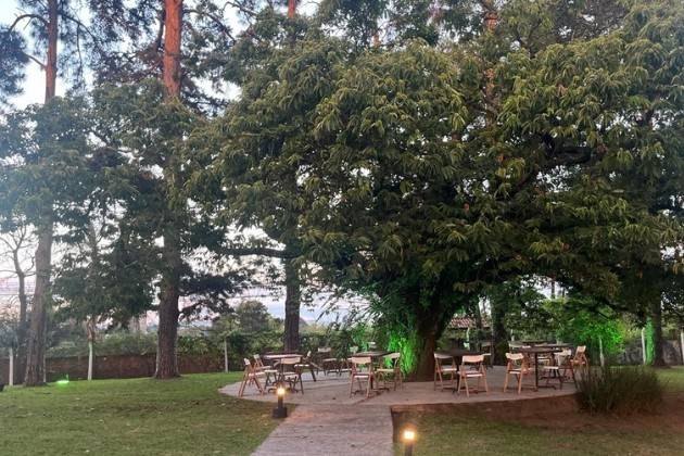 Natureza Centenária