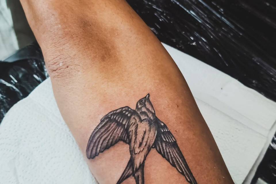 Tatoo