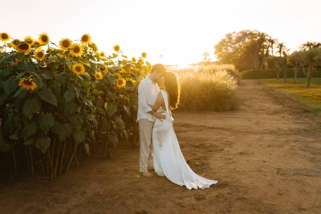 Pre-Wedding