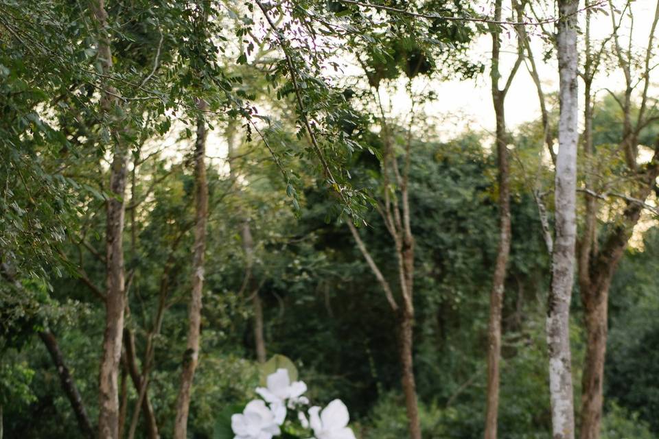 Ensaio pós casamento