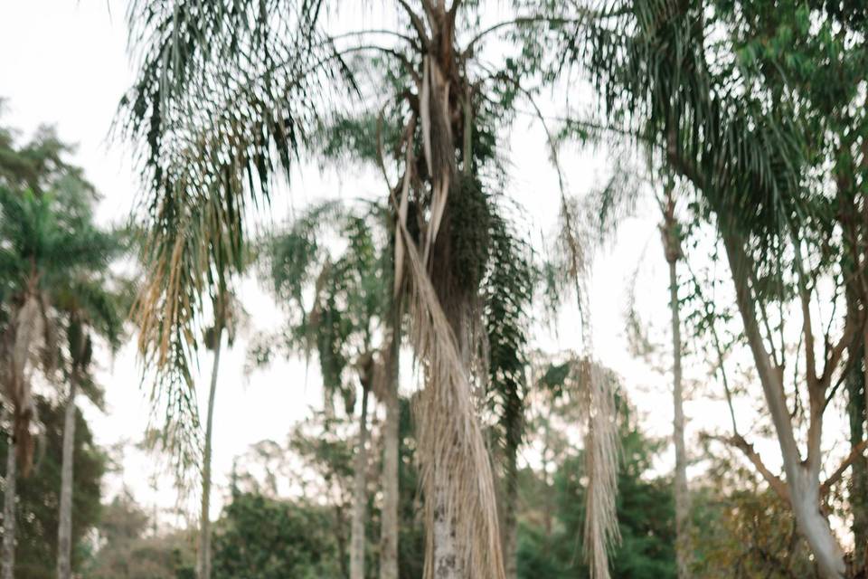 Ensaio pós casamento