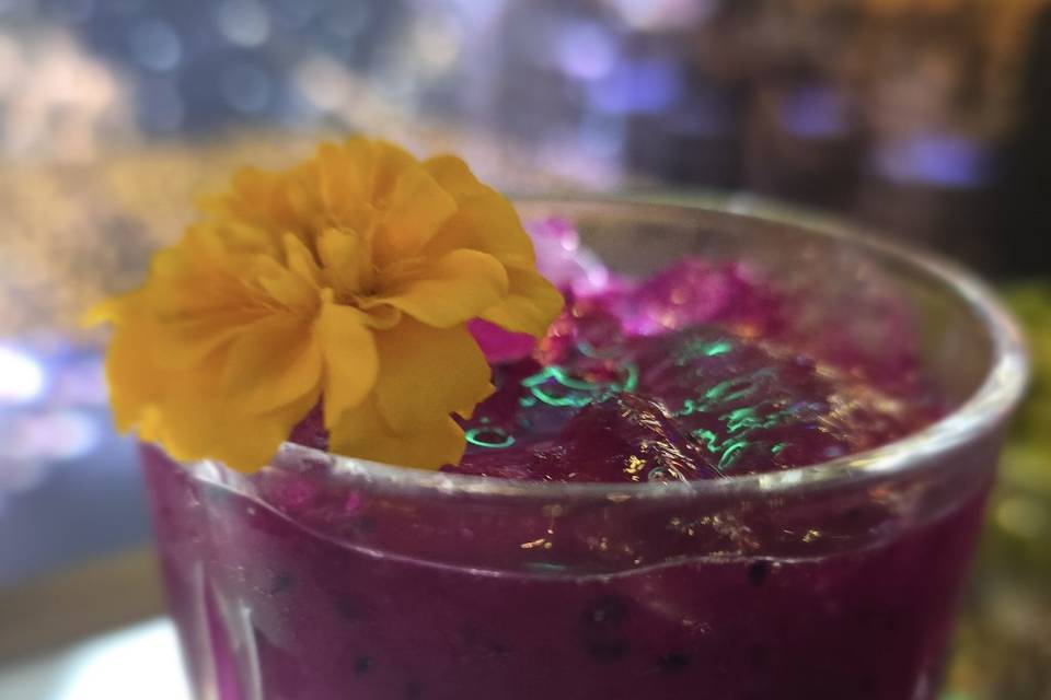 PITAYA com vodka coconout