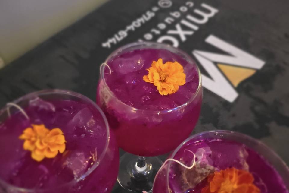 GT PITAYA gim, tônica gingerr