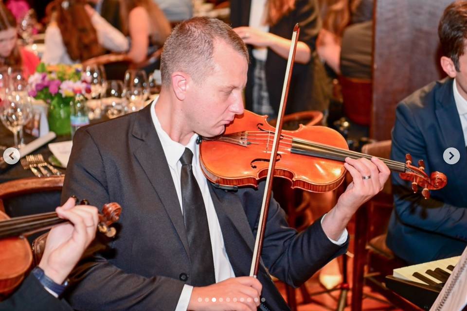Violino