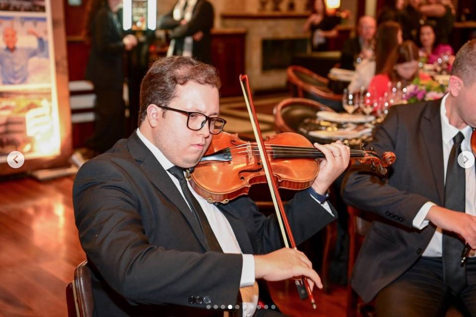 Violino