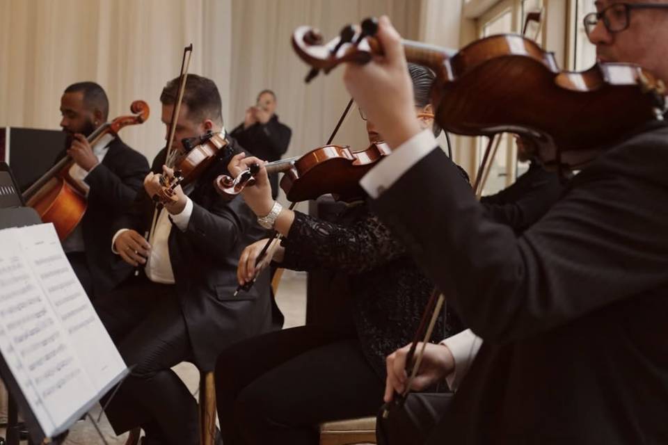 Orquestra de cordas