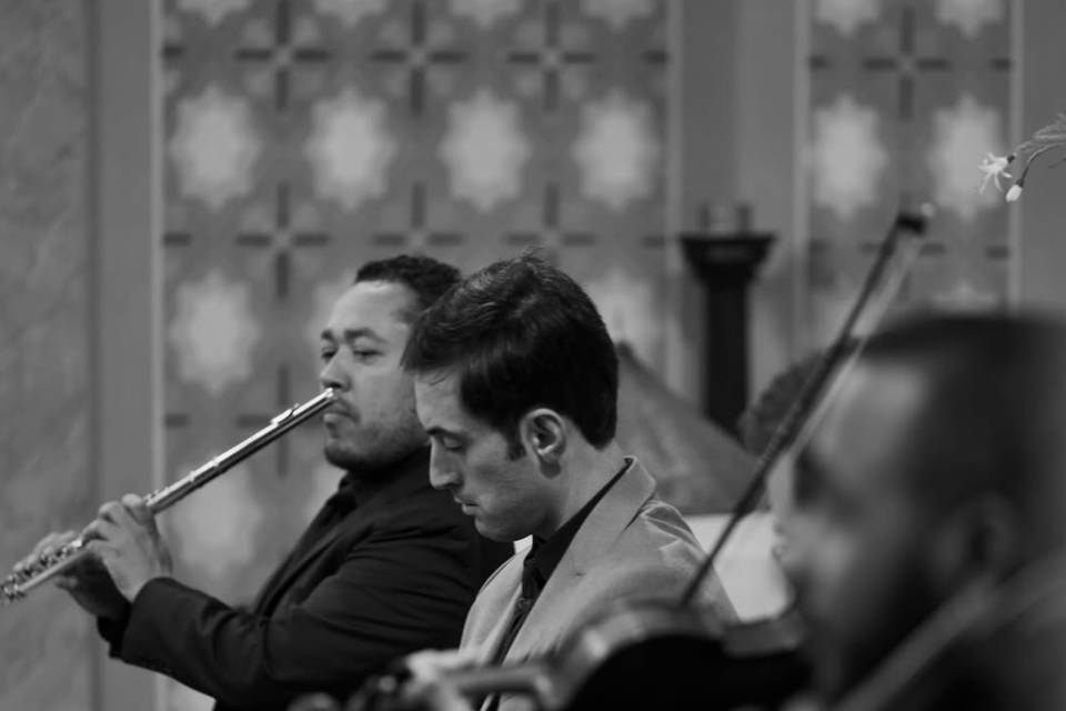 Músicos tocando
