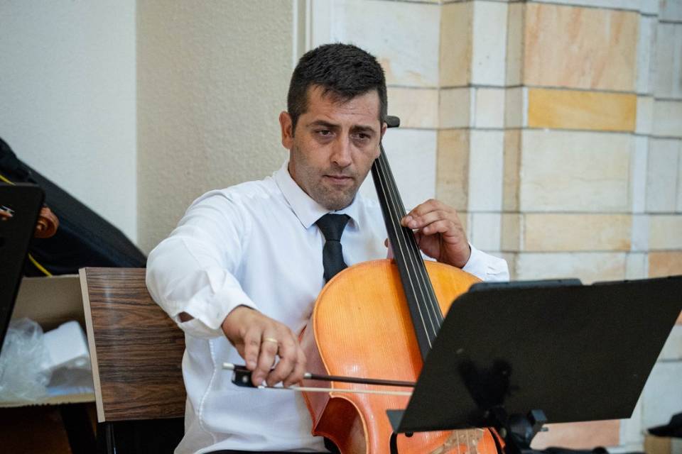 Violoncelo