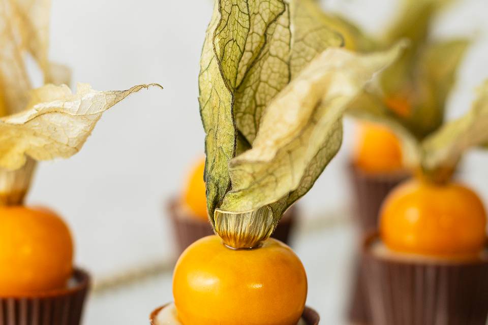 Physalis