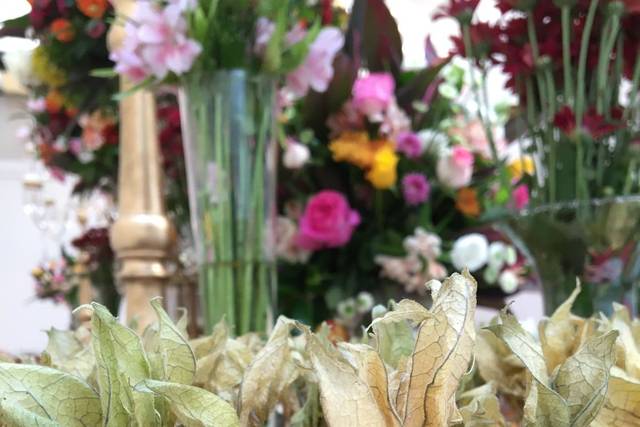 Truffete de Physalis