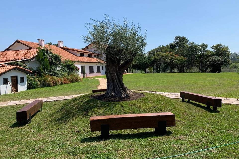 Estância das Oliveiras