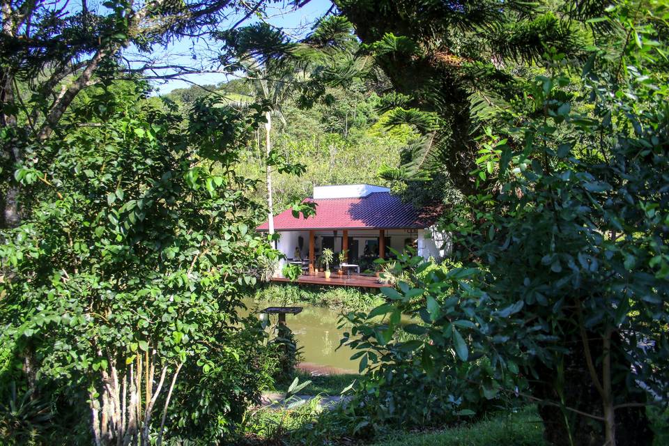 Patio casa sentido Cafeteria