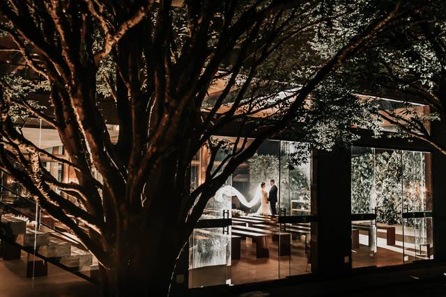 Thiagotruffe | fotografia