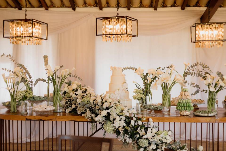 Veneza Eventos - Grupo VMH