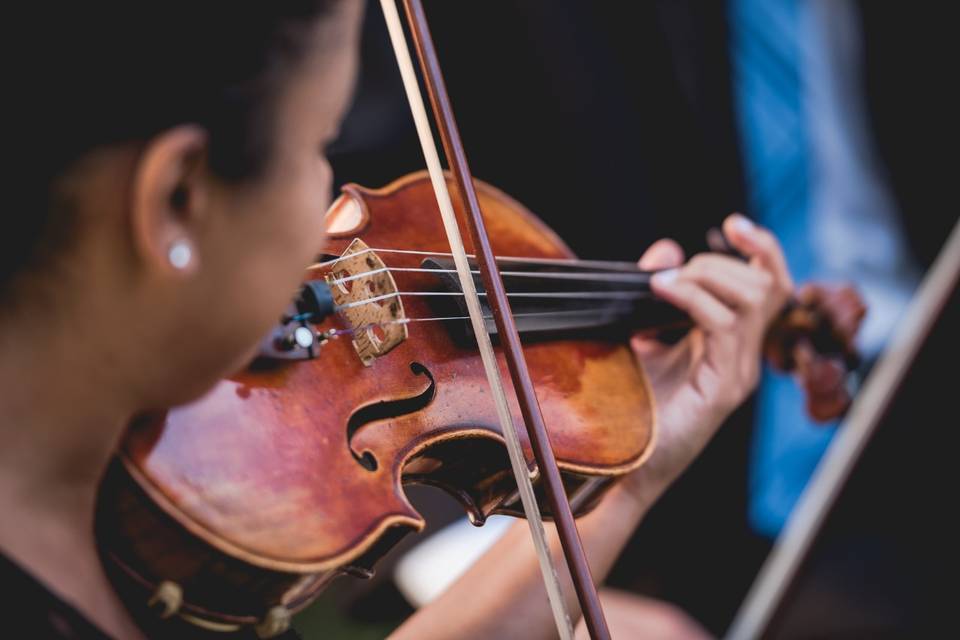 Violino - Andantino Orquestra