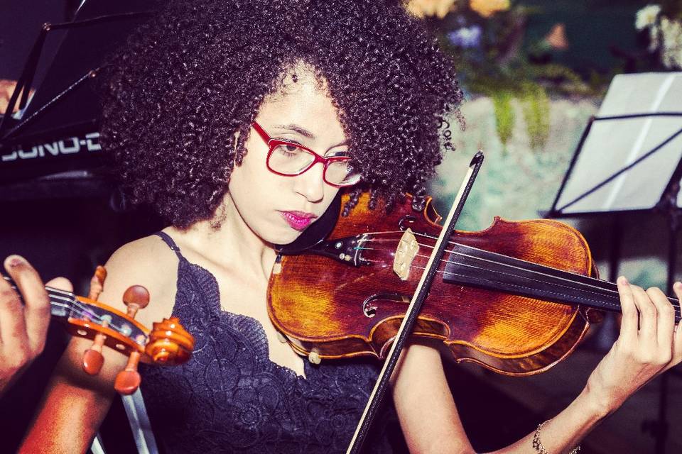 violino