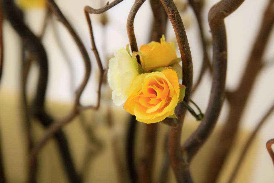 Flores