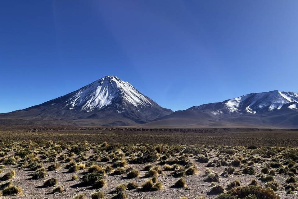 Lua de Mel Chile Atacama