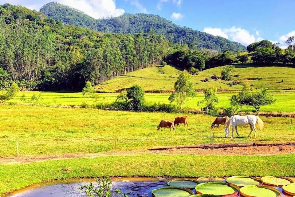 Beleza natural