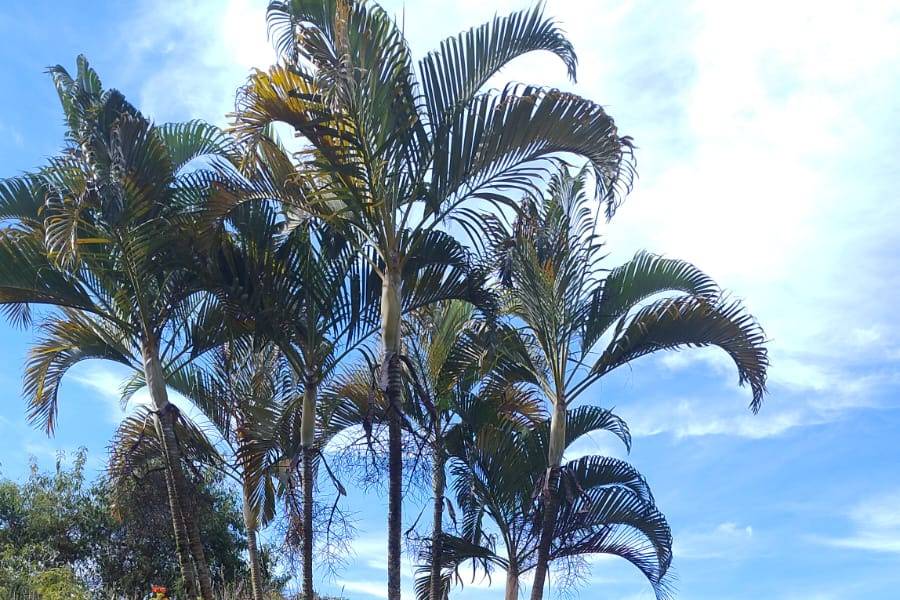Santa Rita Hotel&Pousada 46