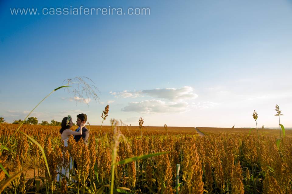 Cassia Ferreira - Fotografia de Família