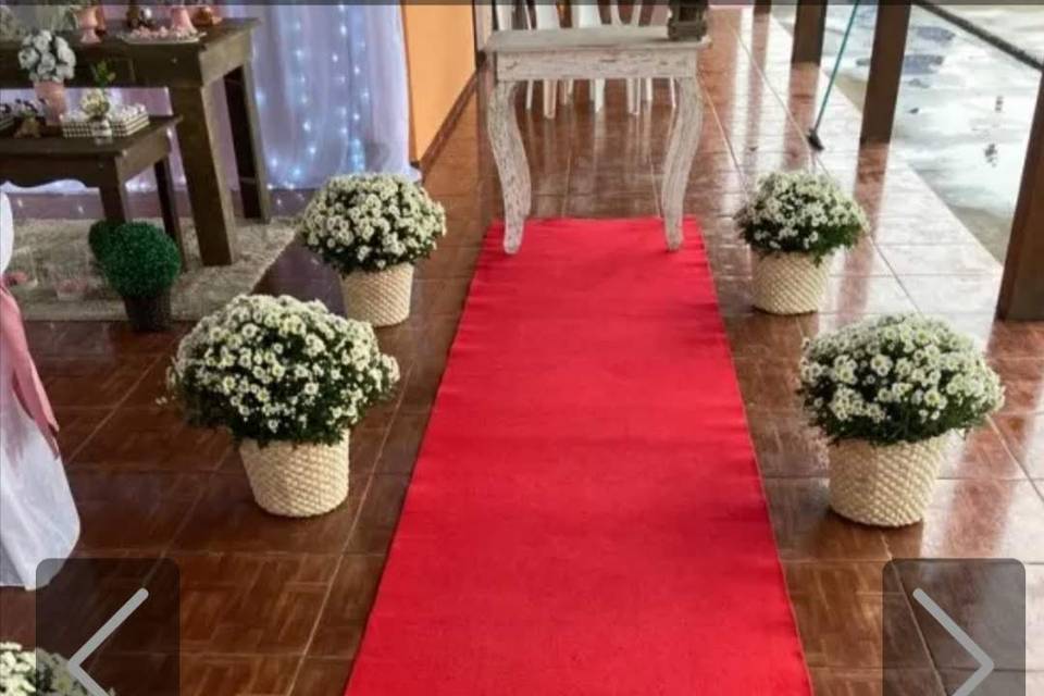 O tapete vermelho é seu