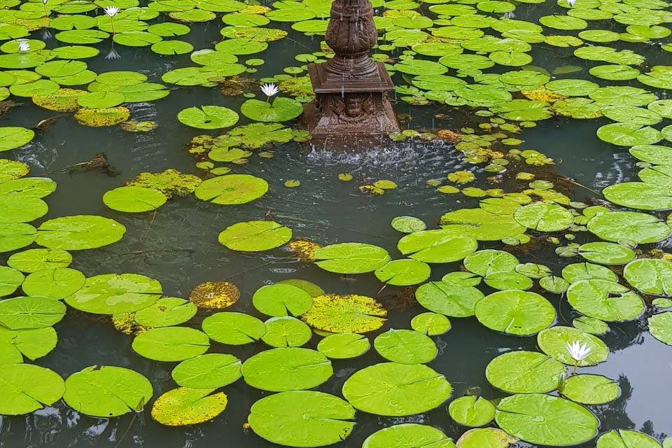 Lago da piscina