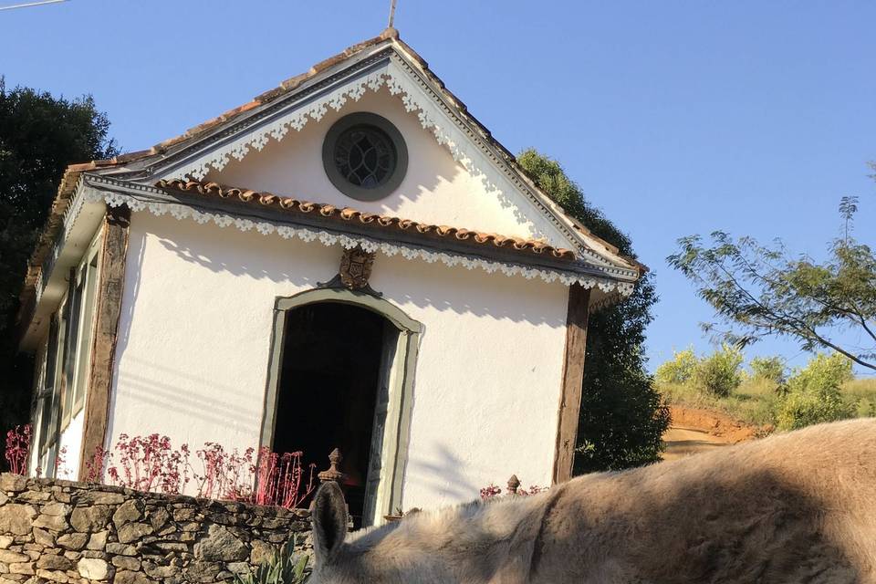 Vista capela / animais