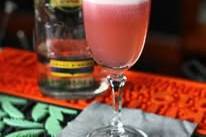 Cocktails aperitivos