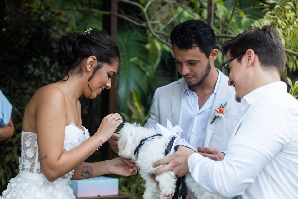 Luciana Guerra Wedding Planner