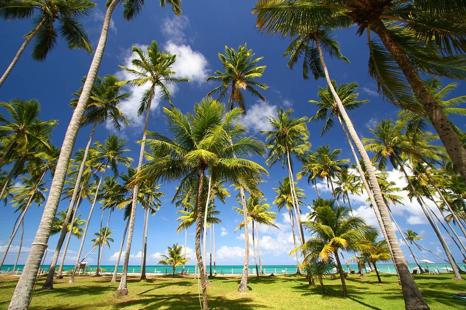 Vista dos Bangalôs