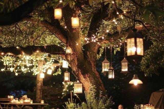 O ambiente eleva o clima.