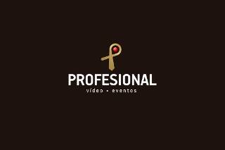 logo_profesional